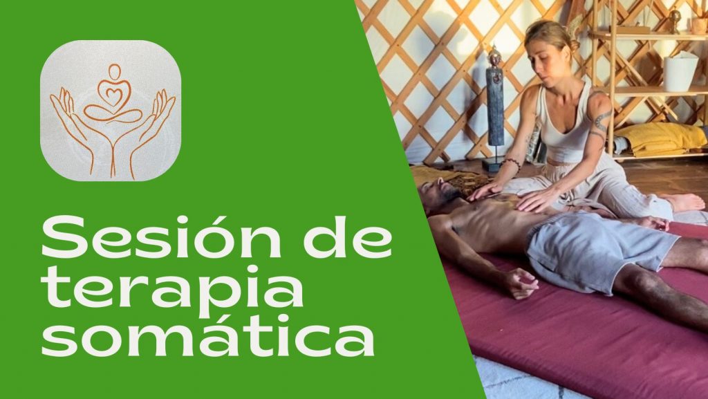 Sesión personalizada de terapia somática.